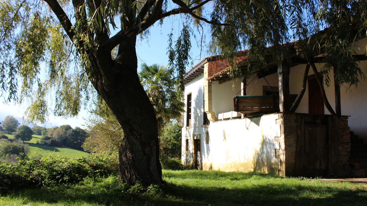 Photo of Outdoor in Ribadedeva