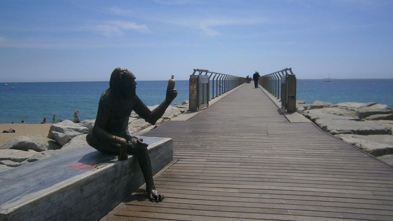 Photo of Others in Badalona