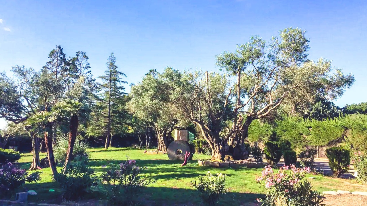 Photo of Outdoor in Garriguella