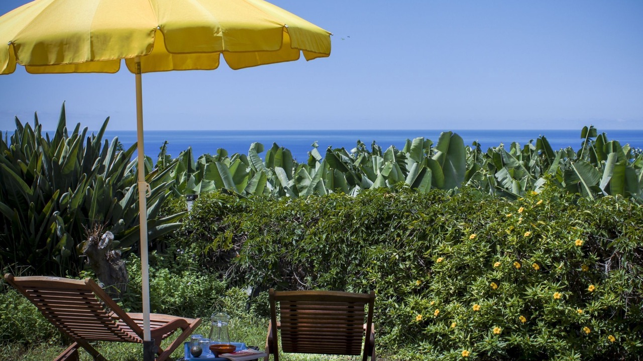 Photo of Outdoor in Tazacorte