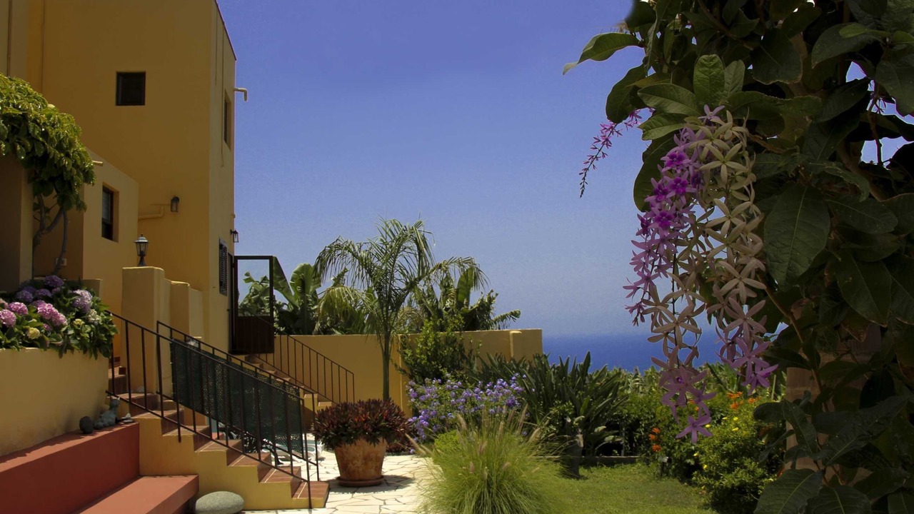 Photo of Outdoor in Tazacorte