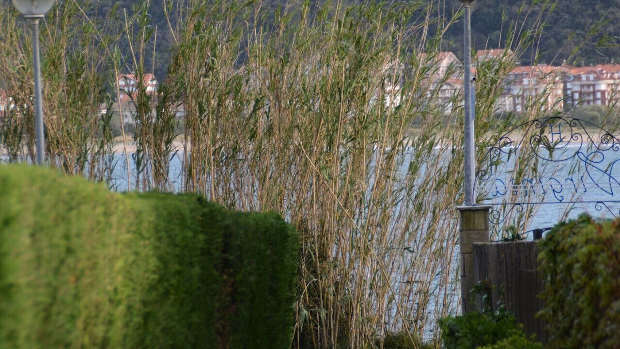 Photo of Outdoor in Noja