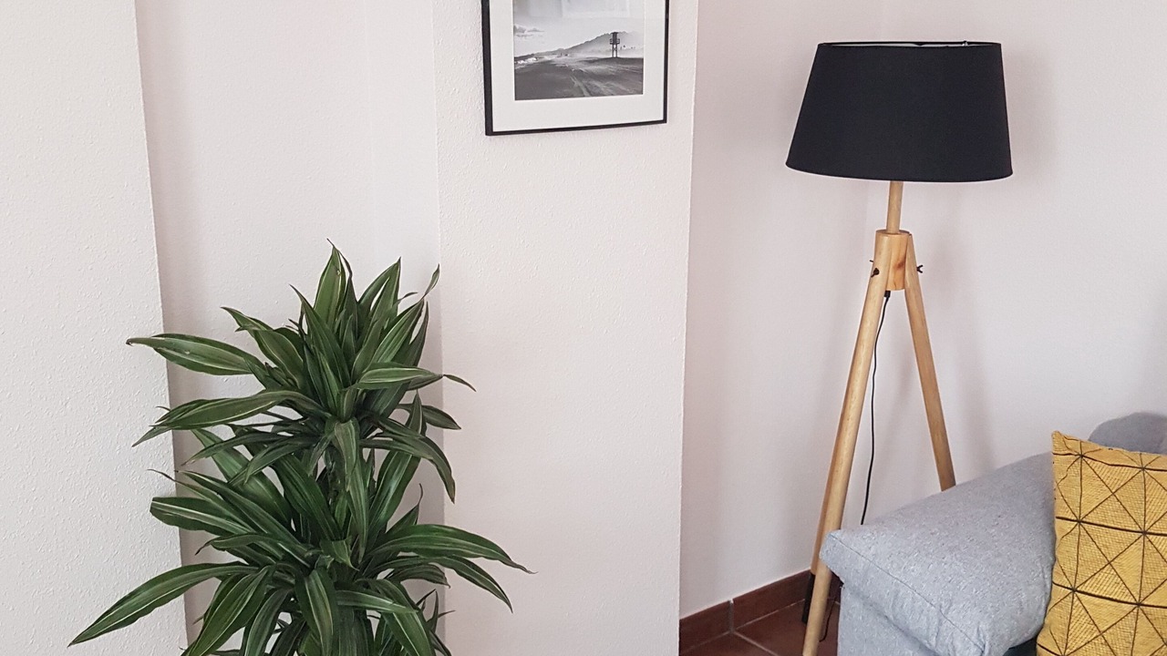 Photo of Livingroom in Vera Beach