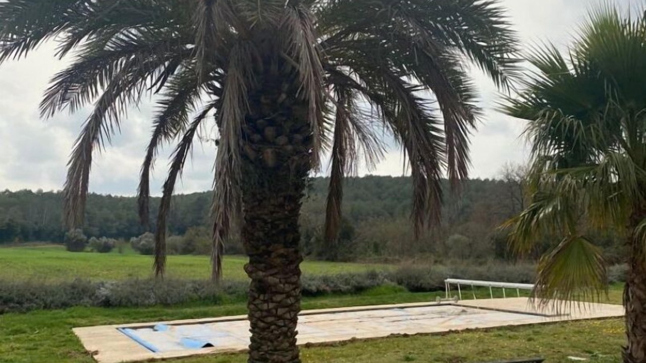 Photo of Outdoor in Bascara