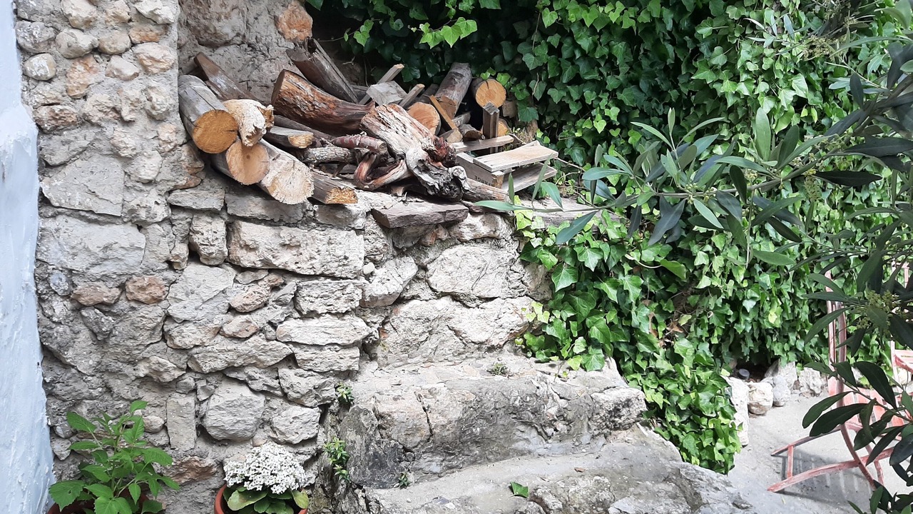 Photo of Outdoor in Borja