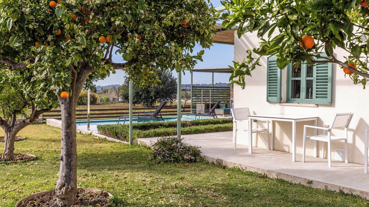 Photo of Outdoor in Moscari