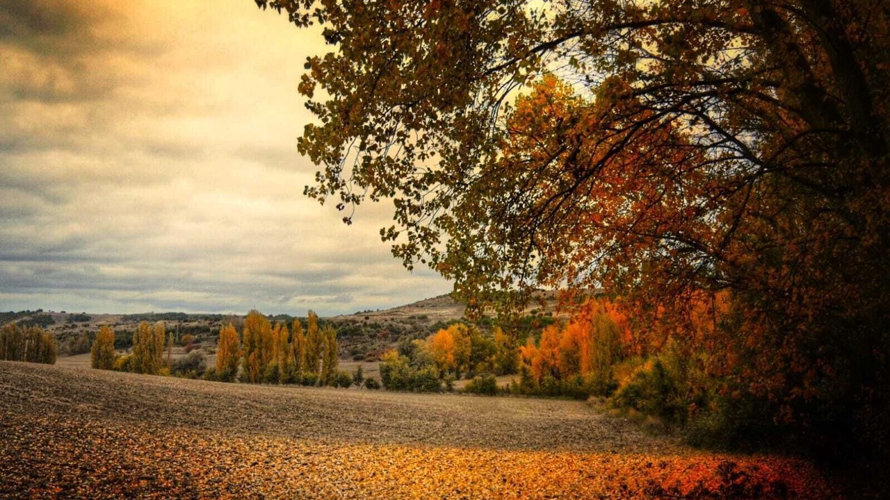 Photo of Outdoor in Tabanera de Cerrato