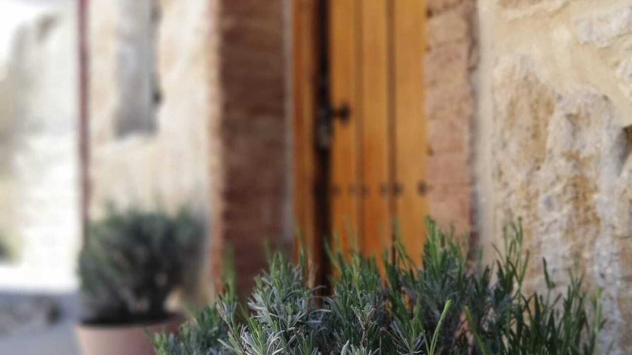 Photo of Outdoor in Tabanera de Cerrato