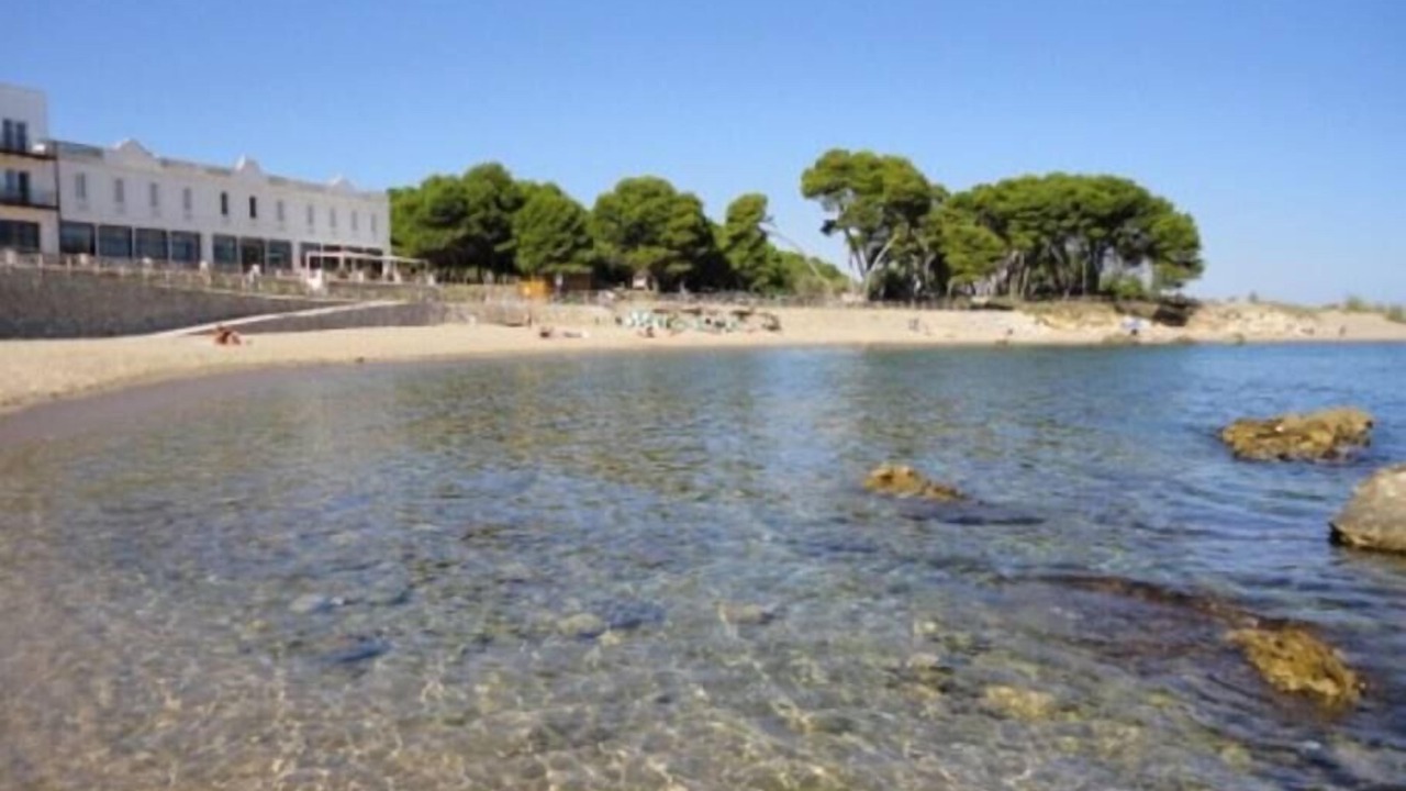 Photo of Others in L'Escala