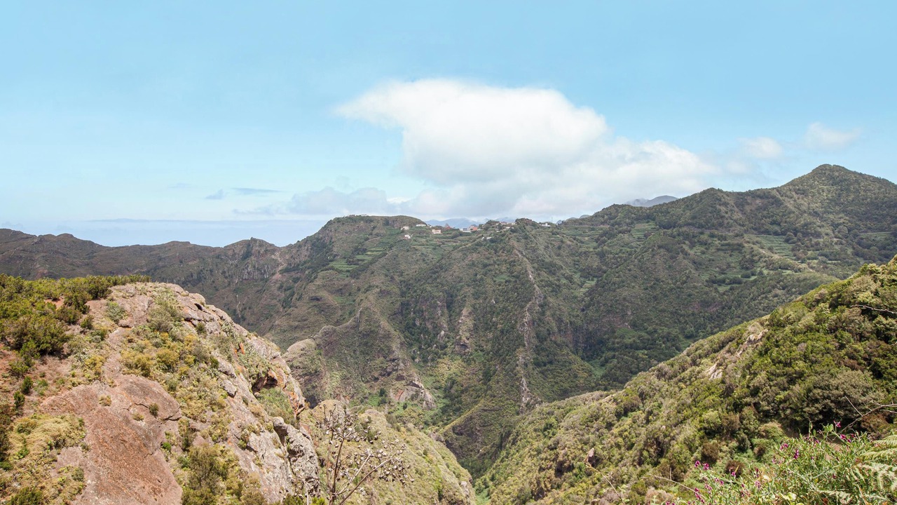 Photo of Others in San Cristobal de La Laguna
