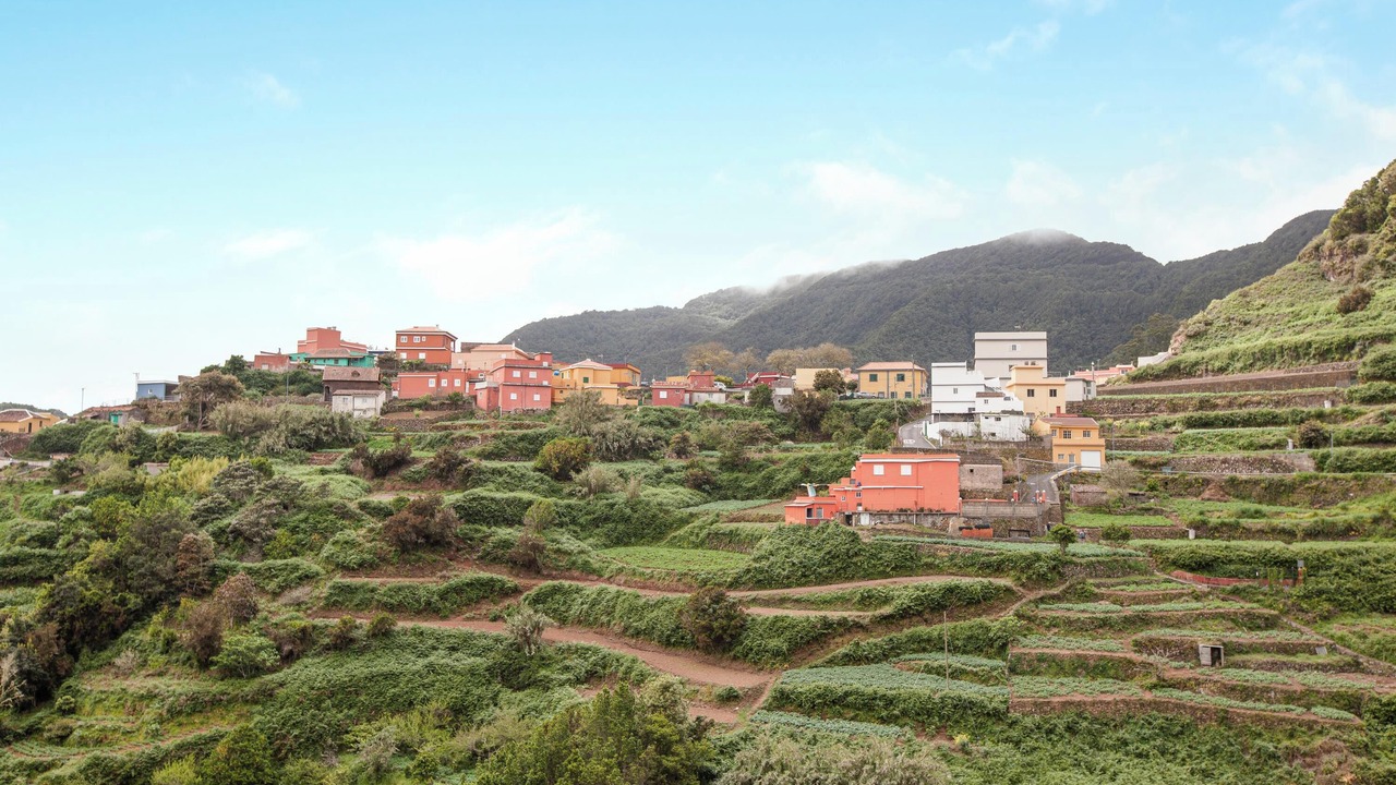 Photo of Others in San Cristobal de La Laguna