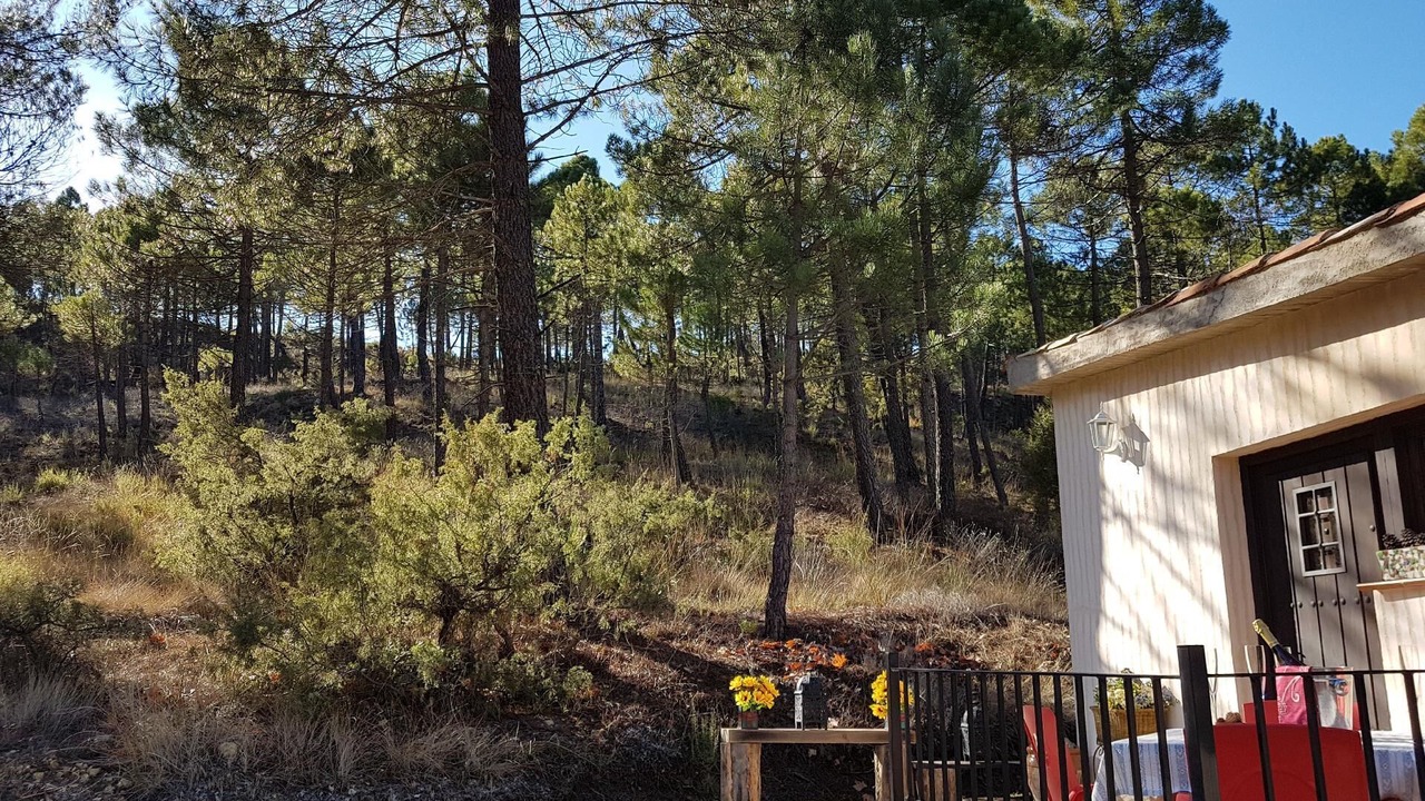 Photo of Outdoor in Riopar