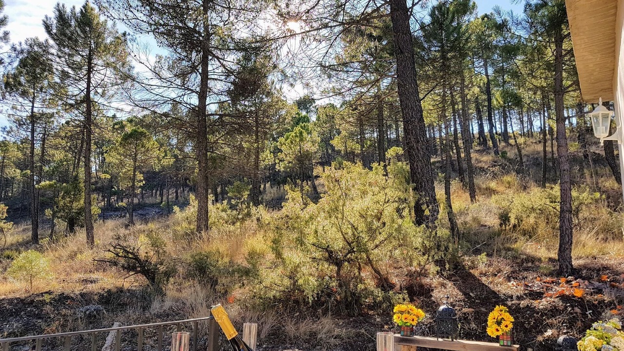 Photo of Outdoor in Riopar