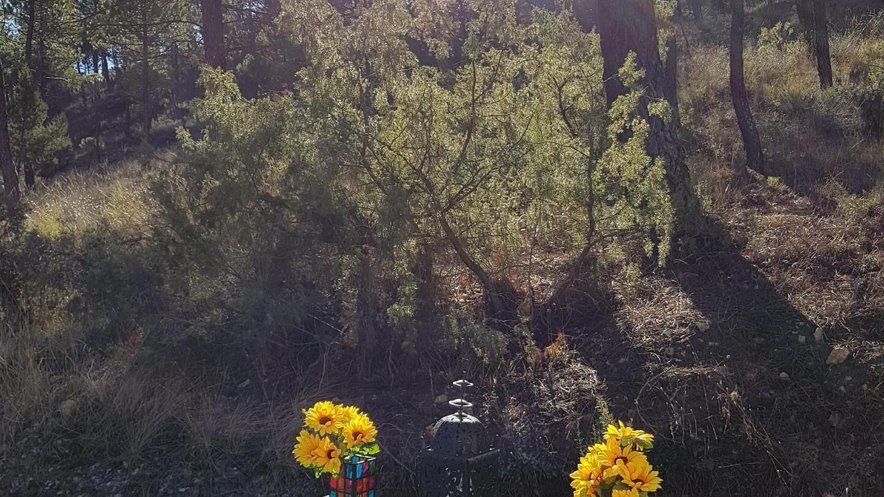 Photo of Outdoor in Riopar