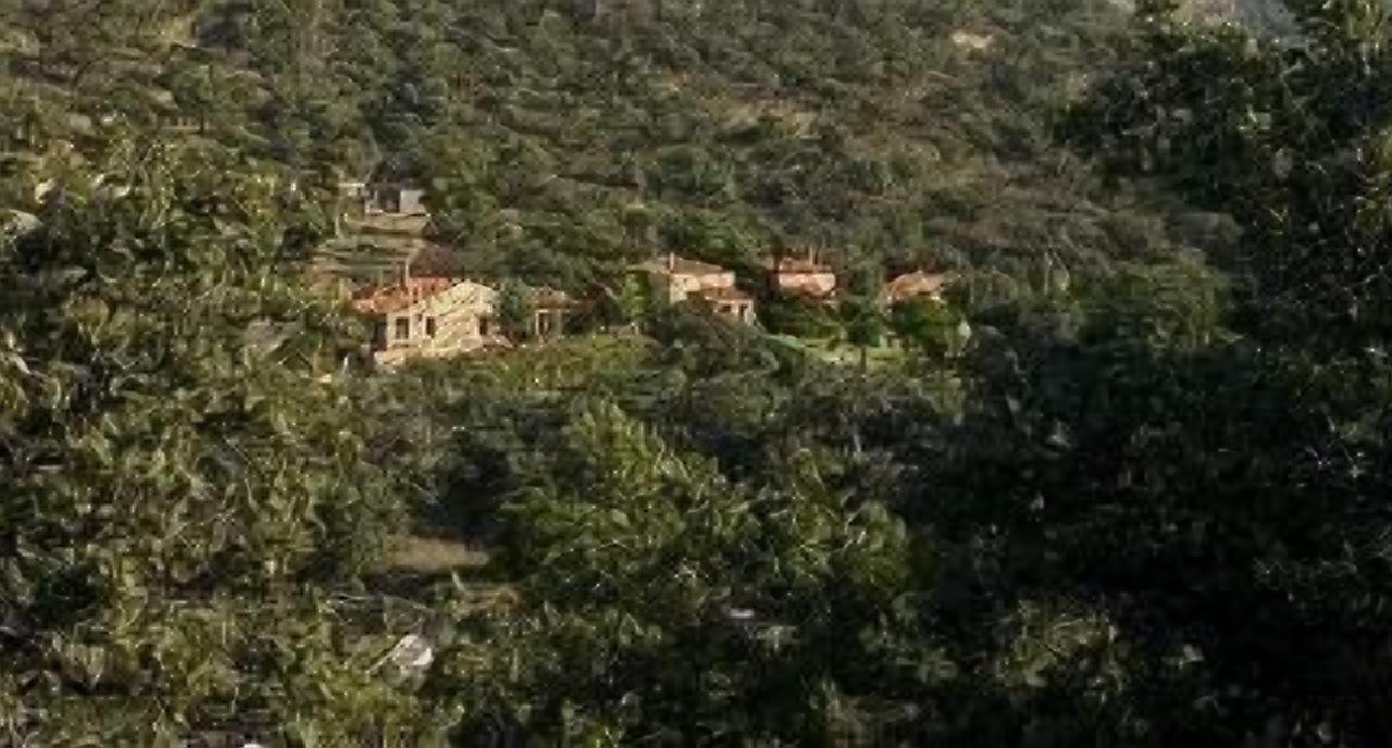 Photo of Others in Alajar