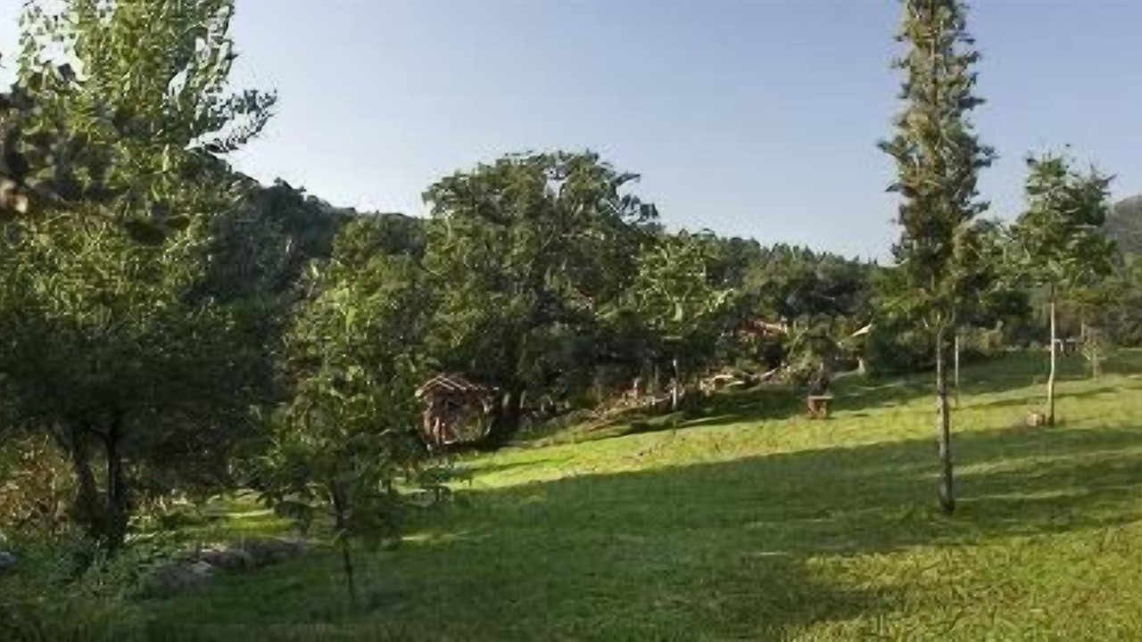 Photo of Outdoor in Alajar