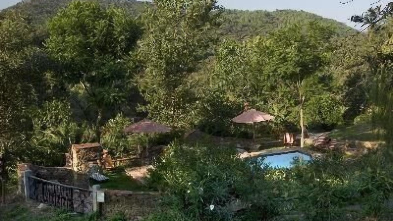 Photo of Outdoor in Alajar