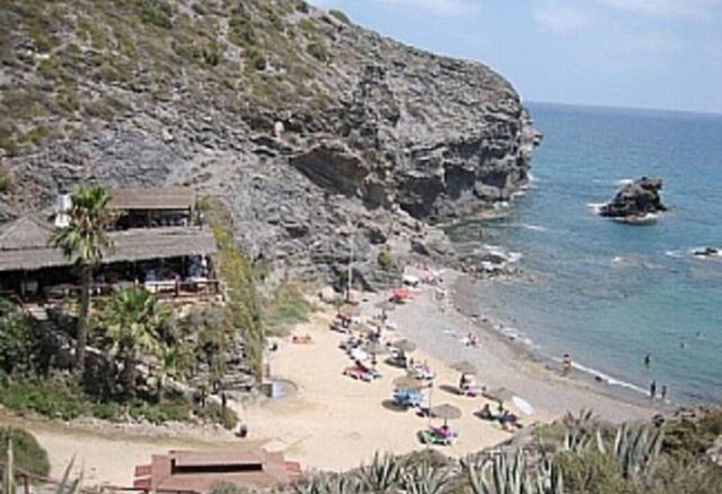 Photo of Others in Atamaria