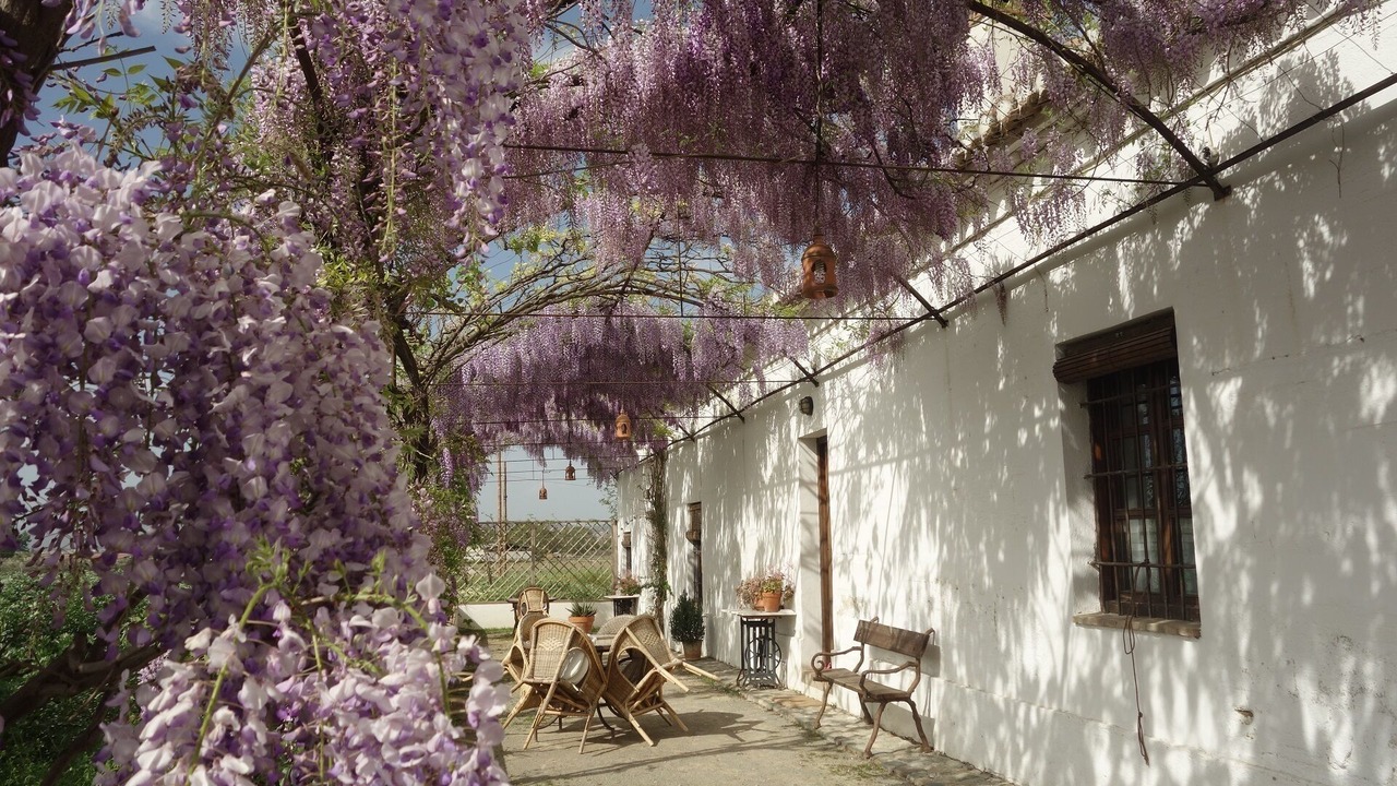 Photo of Patio Balcony in Tozar