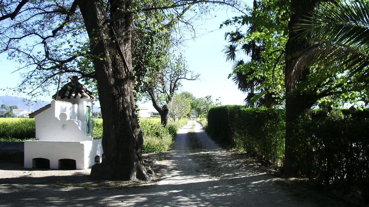 Photo of Outdoor in Tozar