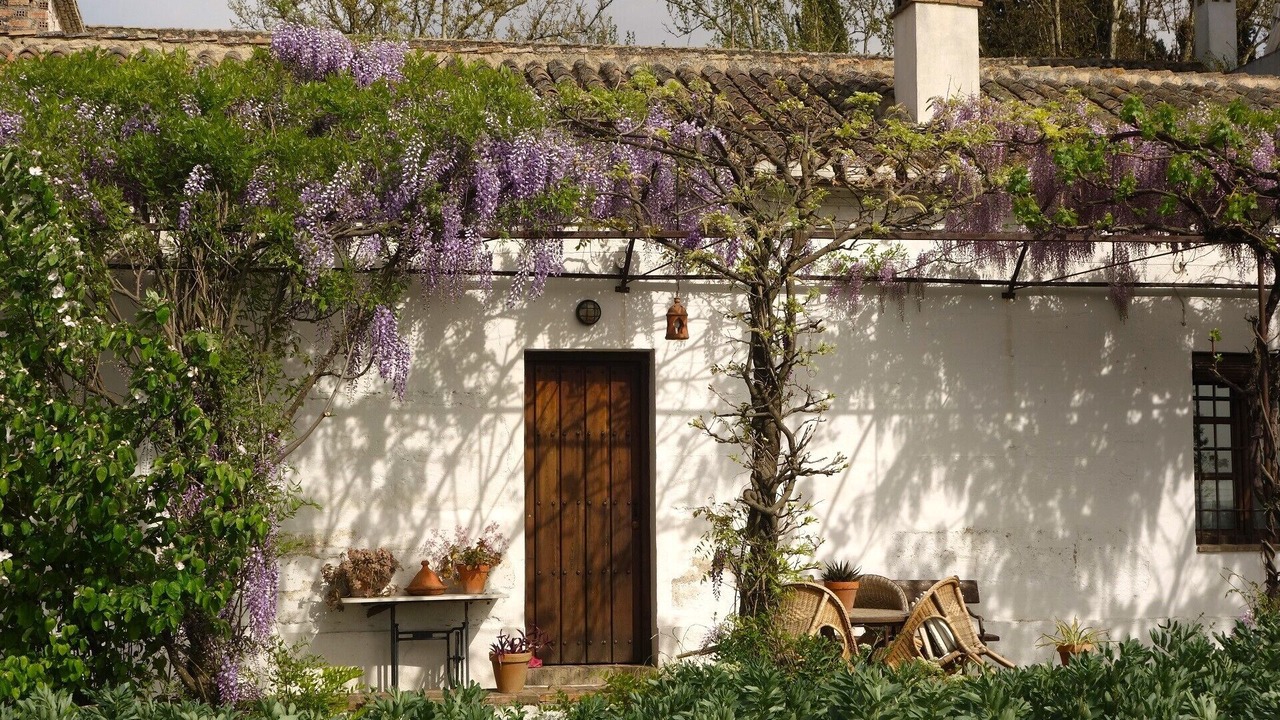 Photo of Outdoor in Tozar