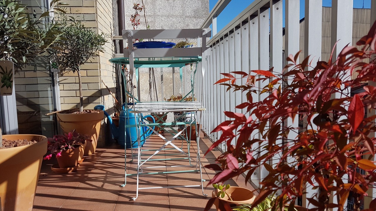 Photo of Outdoor in Ourense