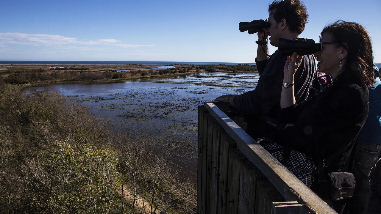 Photo of Others in Sant Pere Pescador