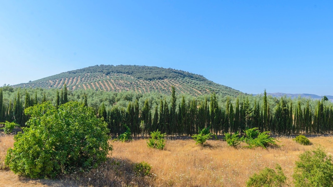 Photo of Outdoor in Castillo de Locubin