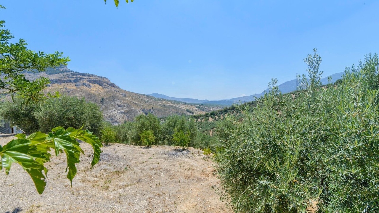 Photo of Outdoor in La Guardia de Jaen