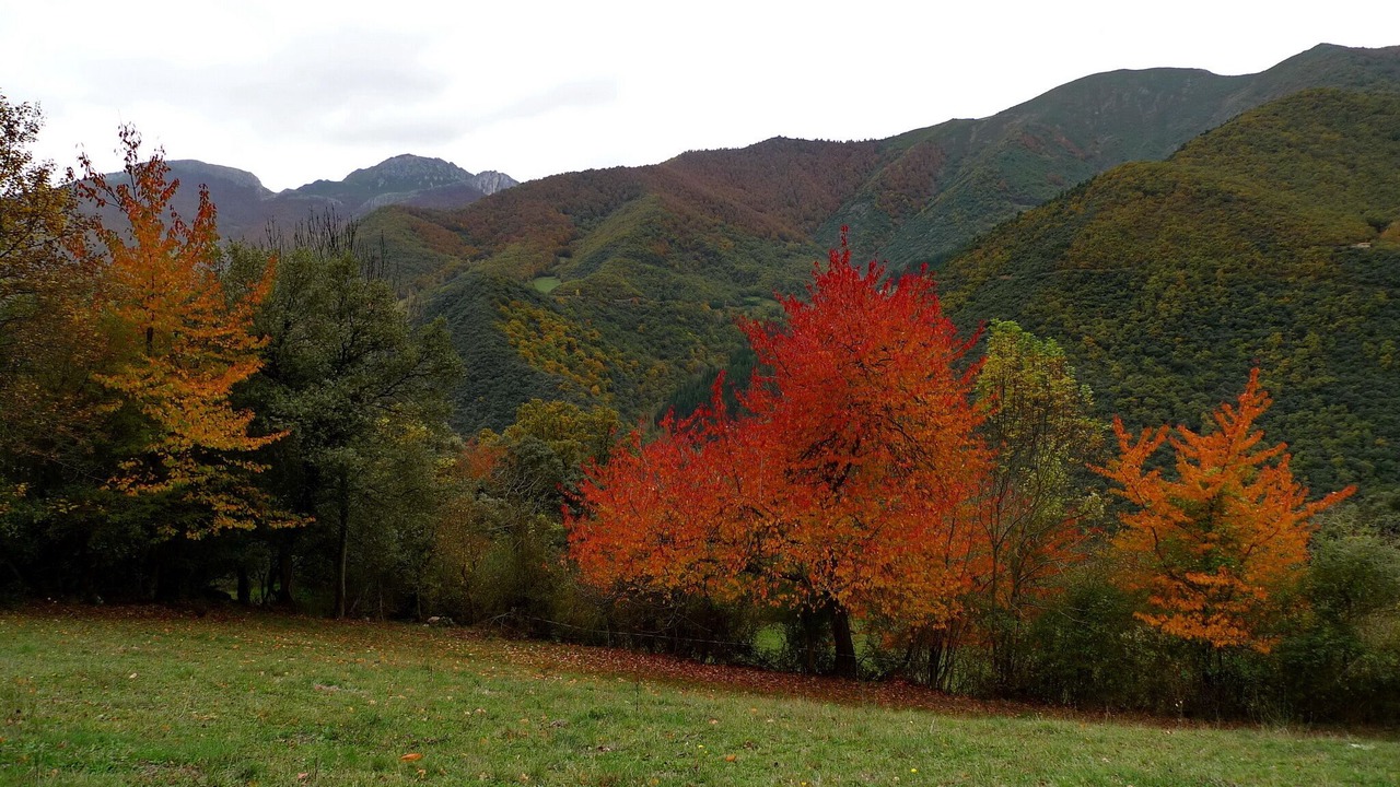 Photo of Outdoor in Lerones