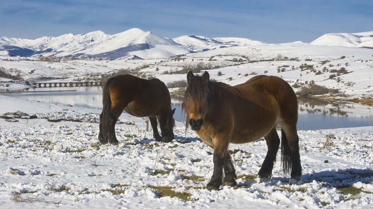 Photo of Others in Campoo de Yuso