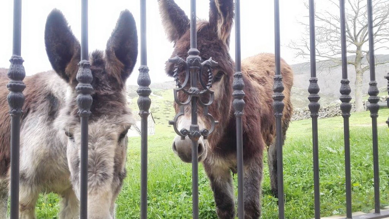 Photo of Others in Campoo de Yuso