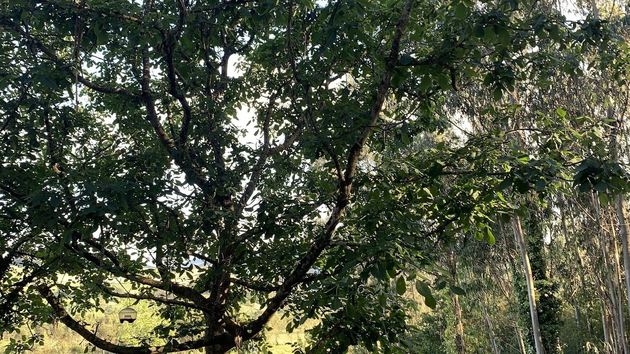 Photo of Outdoor in San Vicente de la Barquera
