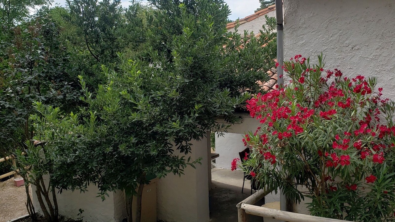Photo of Outdoor in Siles
