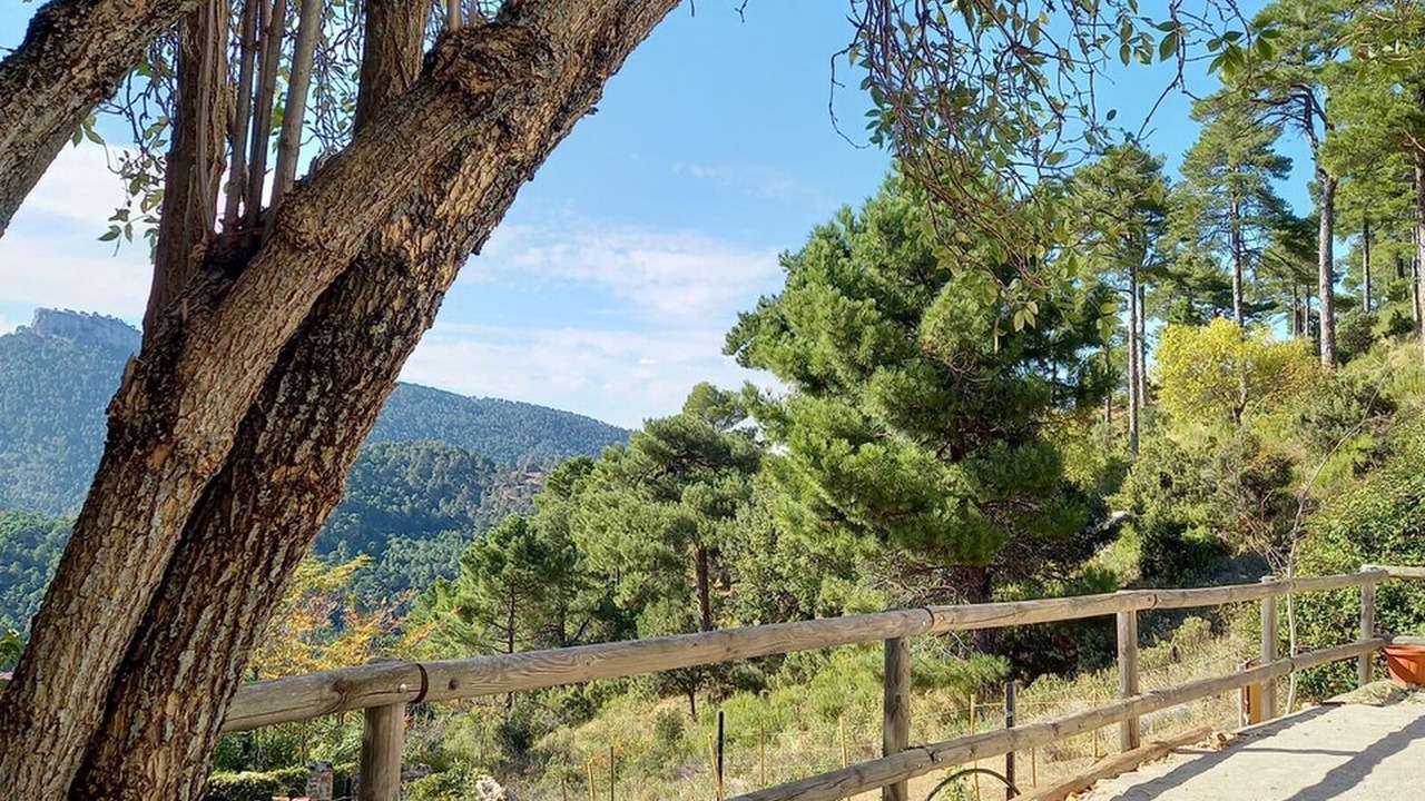 Photo of Outdoor in Siles