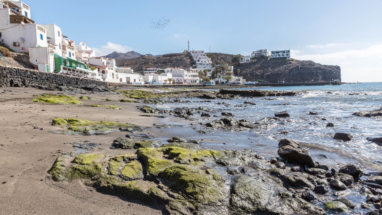 Photo of Others in Las Playitas