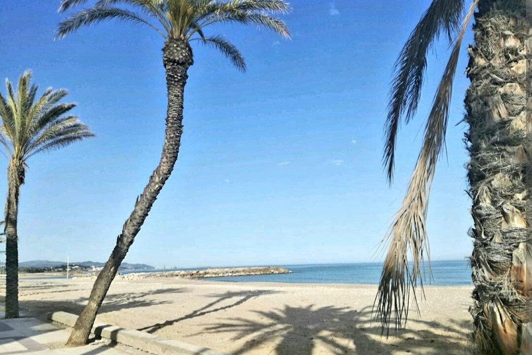 Photo of Others in Vilanova I la Geltru