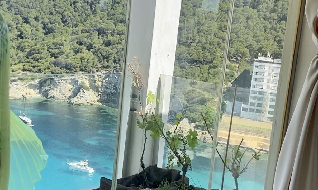 Photo of Others in Cala Llonga