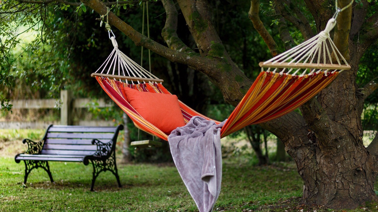Photo of Outdoor in El Barcenal