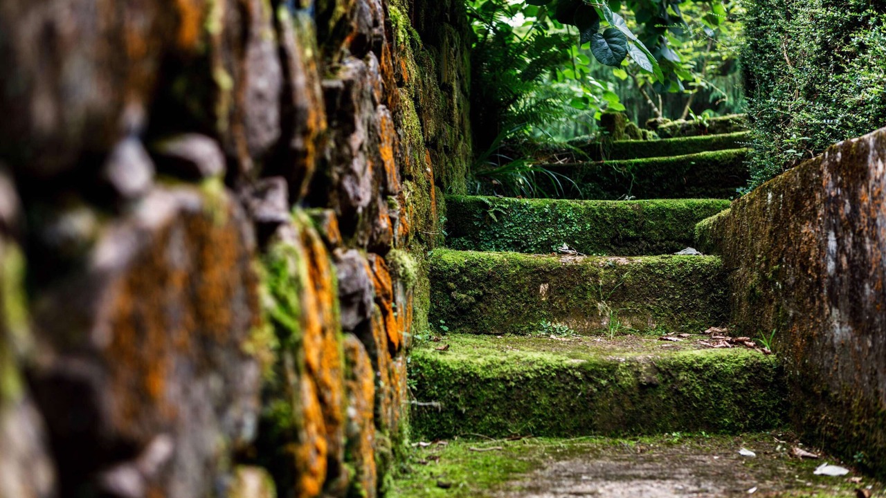 Photo of Outdoor in El Barcenal