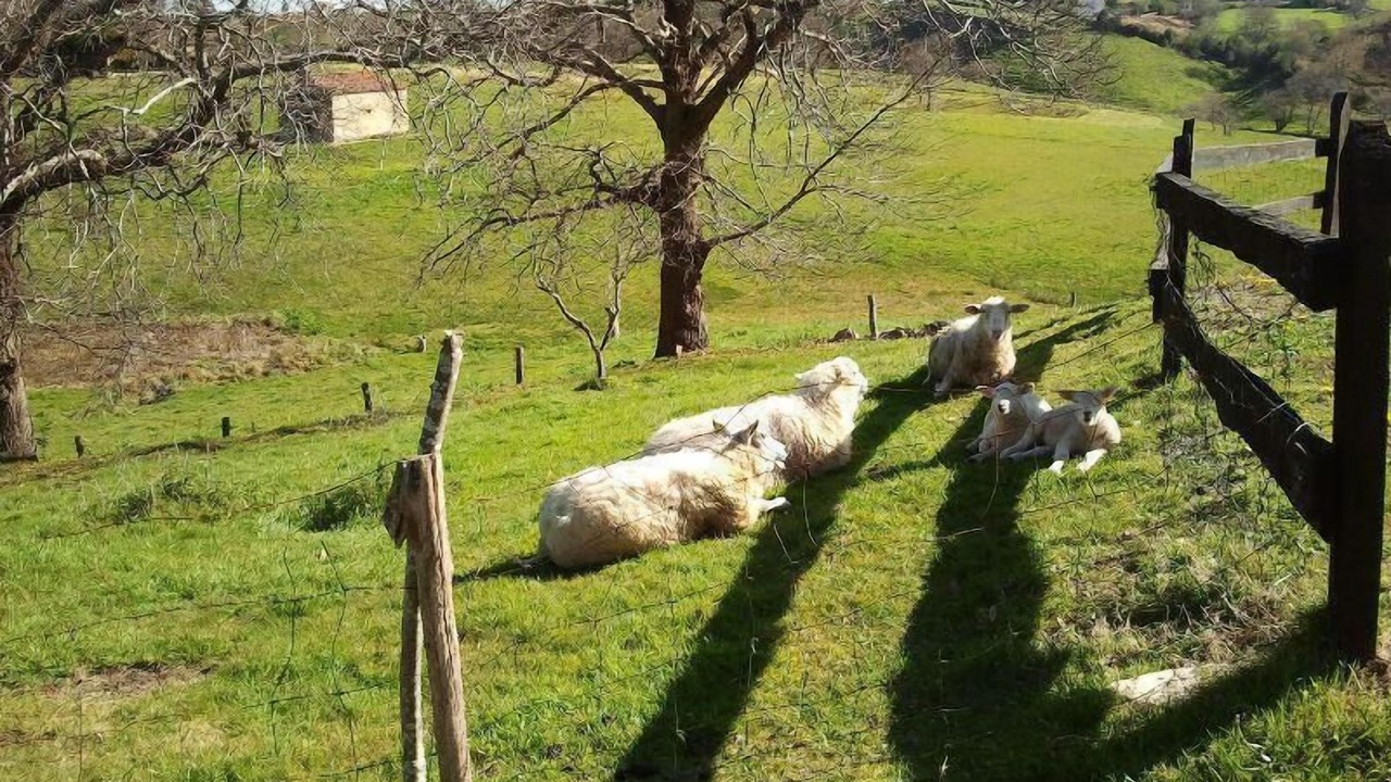 Photo of Outdoor in Lamadrid