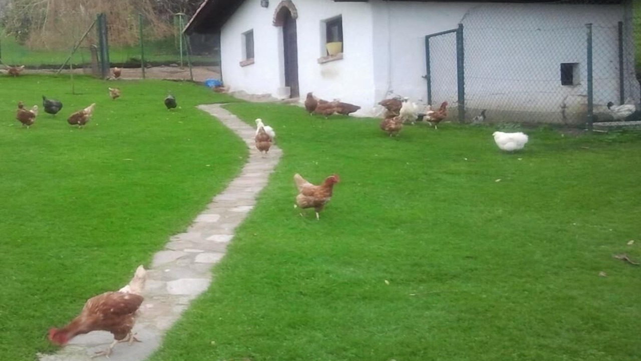 Photo of Outdoor in Lamadrid