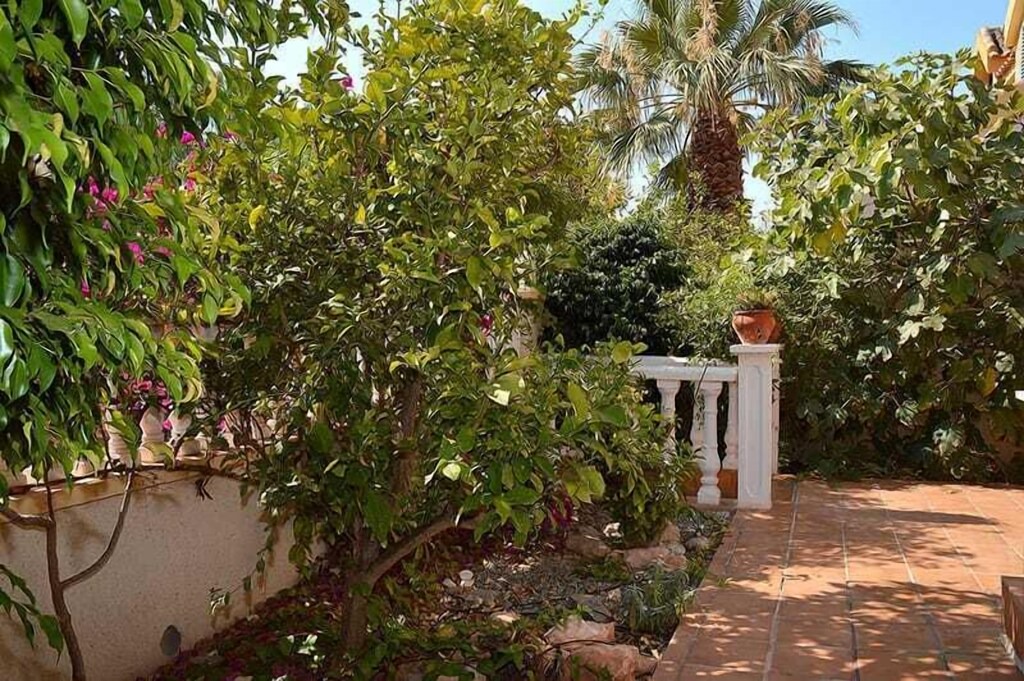 Photo of Others in El Algar