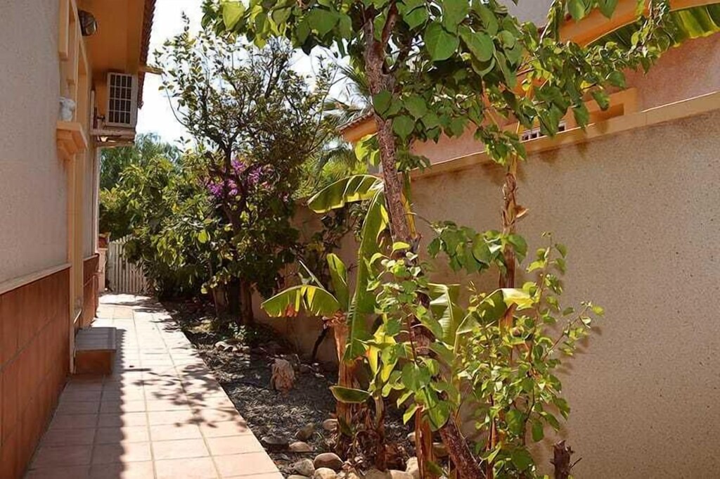Photo of Others in El Algar
