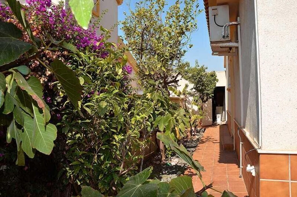 Photo of Others in El Algar
