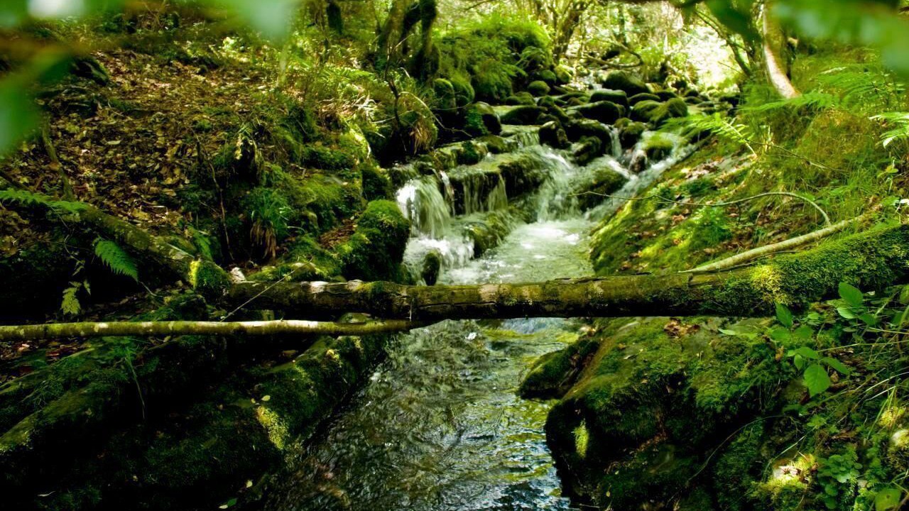 Photo of Outdoor in Fresneda de la Tiron
