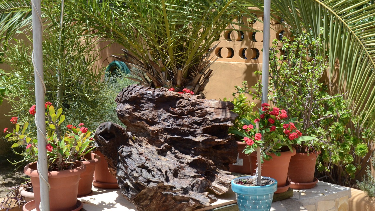 Photo of Others in Formentera