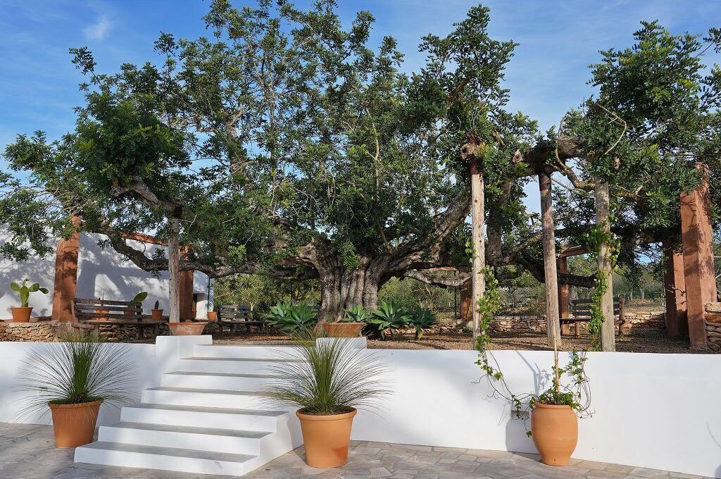 Photo of Outdoor in Sant Rafael de Sa Creu