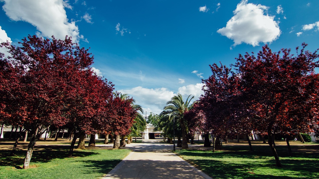 Photo of Outdoor in Ciutat Vella