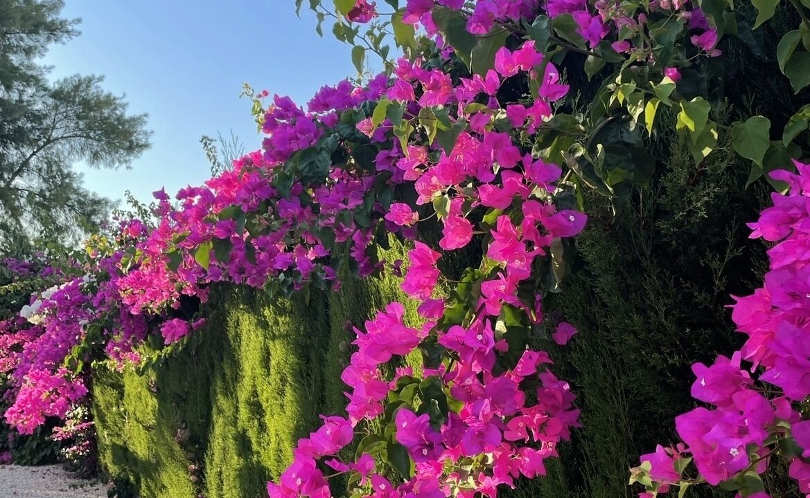 Photo of Outdoor in Villamartin